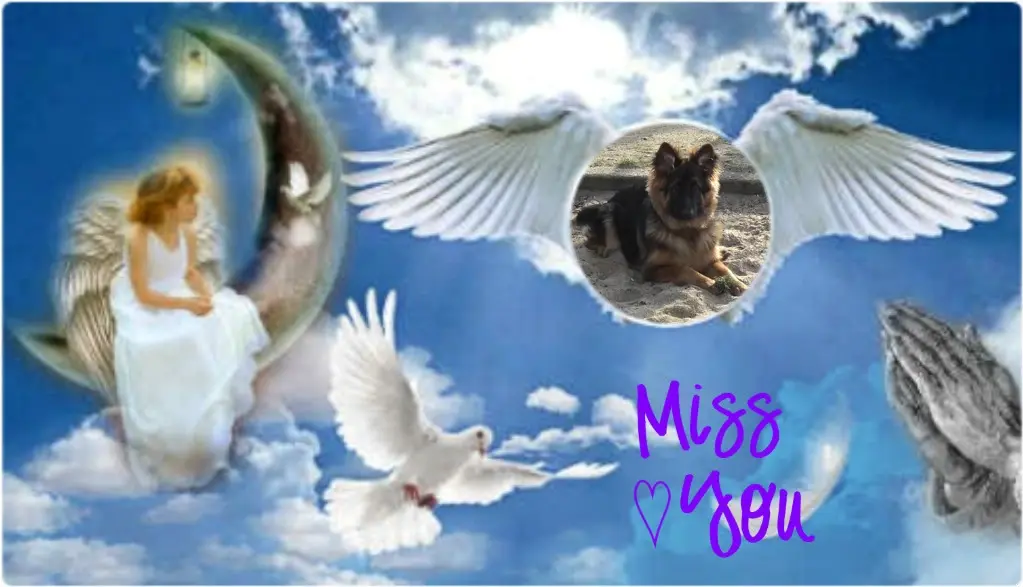 Condolence image of Dzień Dobry mój Ukochany❤️❤️❤️Misieńku❤️❤️❤️