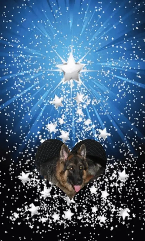 Condolence image of Dobrej Nocki Ukochany Misieńku❤️❤️❤️