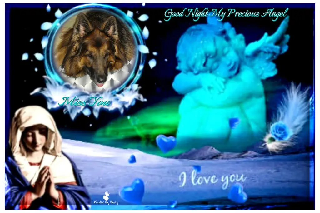 Condolence image of Dobrej Nocki Ukochany Misieńku❤️❤️❤️