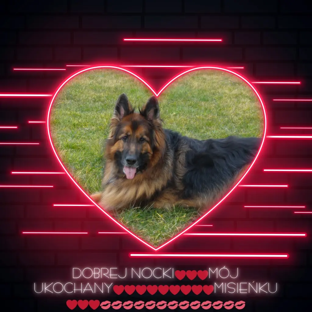 Condolence image of Dobrej Nocki Ukochany Misieńku❤️❤️❤️