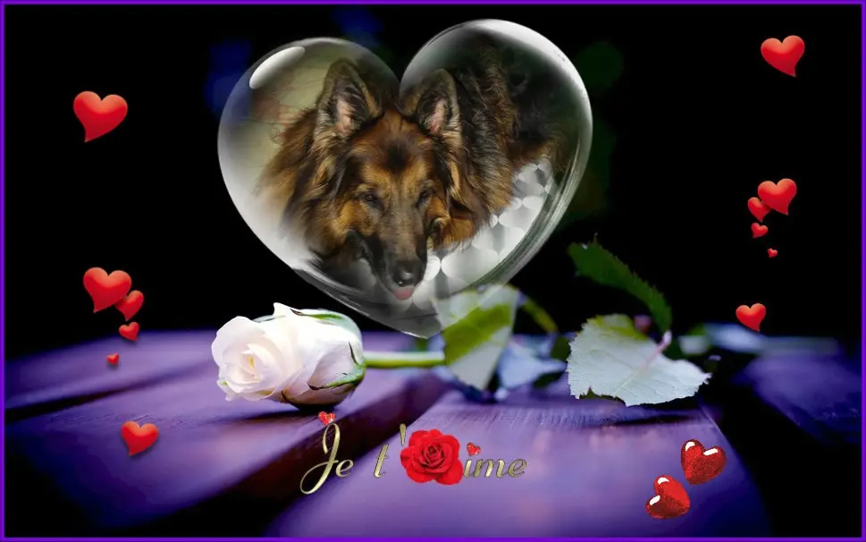 Condolence image of Dobrej Nocki Ukochany Misieńku❤️❤️❤️