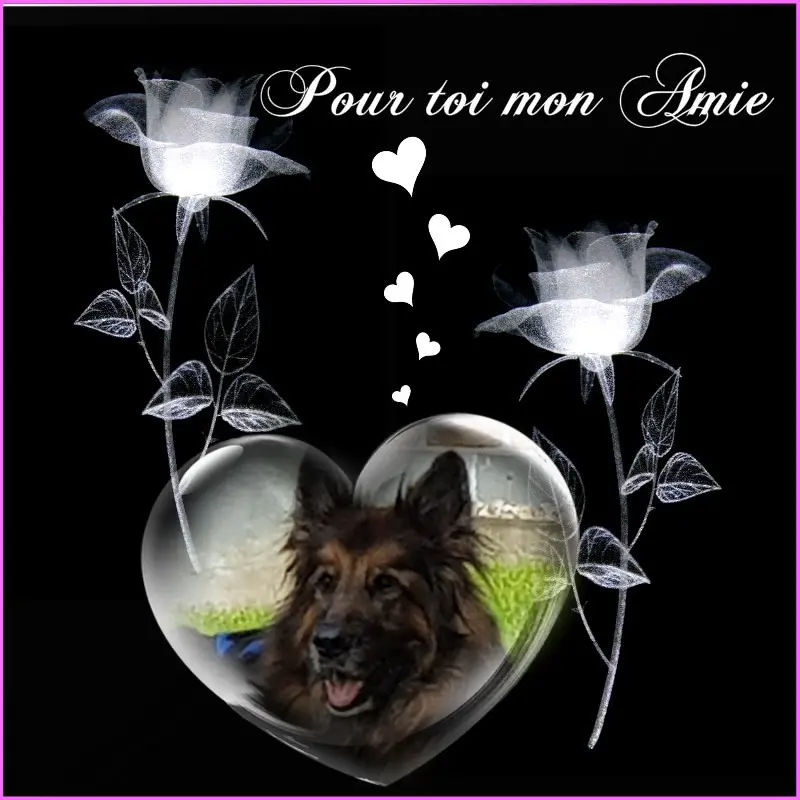 Condolence image of Dobrej Nocki Ukochany Misieńku❤️❤️❤️