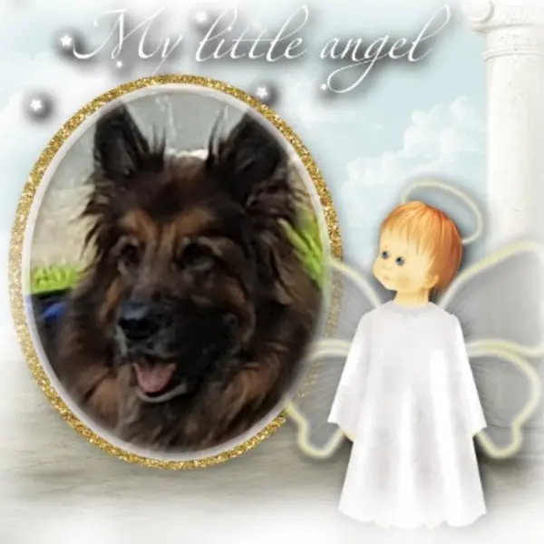 Condolence image of Dobrej Nocki Ukochany Misieńku❤️❤️❤️