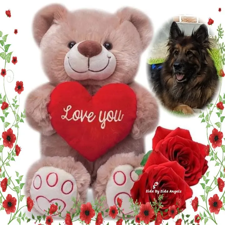 Condolence image of Dzień Dobry mój Ukochany❤️❤️❤️Misieńku❤️❤️❤️