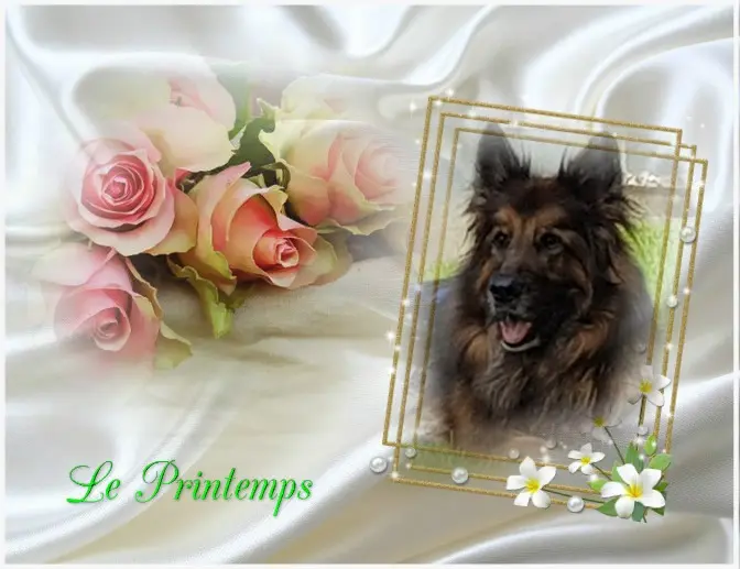 Condolence image of Dzień Dobry mój Ukochany❤️❤️❤️Misieńku❤️❤️❤️