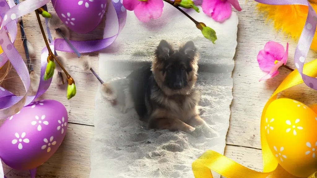 Condolence image of Mój Misiulek❤❤❤