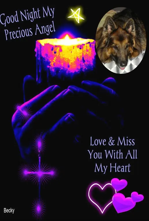 Condolence image of Dobrej Nocki Ukochany Misieńku❤️❤️❤️