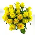 Condolence image of Unbekannt