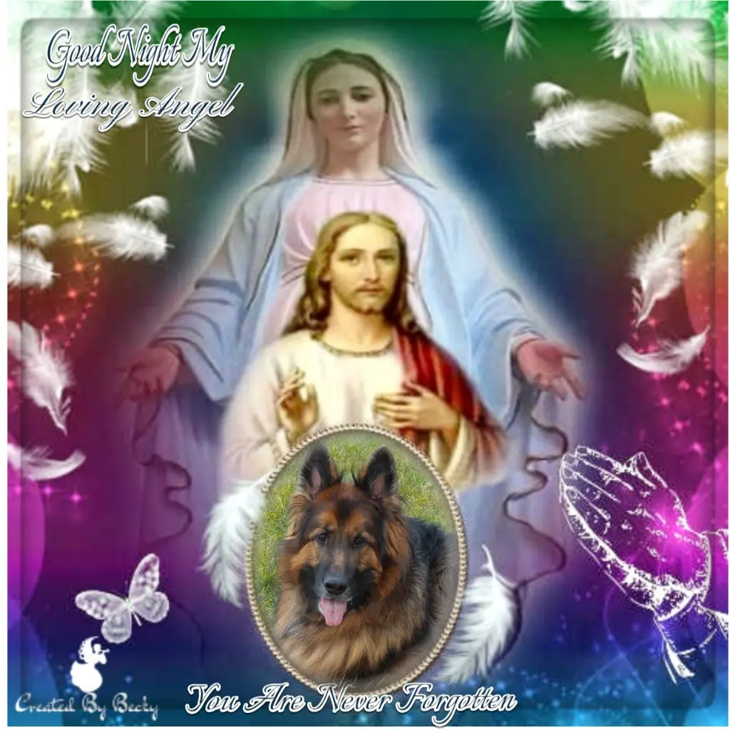 Condolence image of Dobrej Nocki Ukochany Misieńku❤️❤️❤️