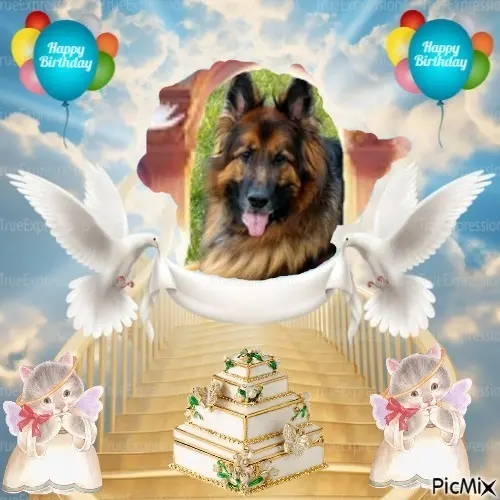 Condolence image of 17.Urodzinki❤️❤️❤️❤️❤️❤️❤️❤️❤️❤️❤️❤️❤️❤️❤️❤️❤️