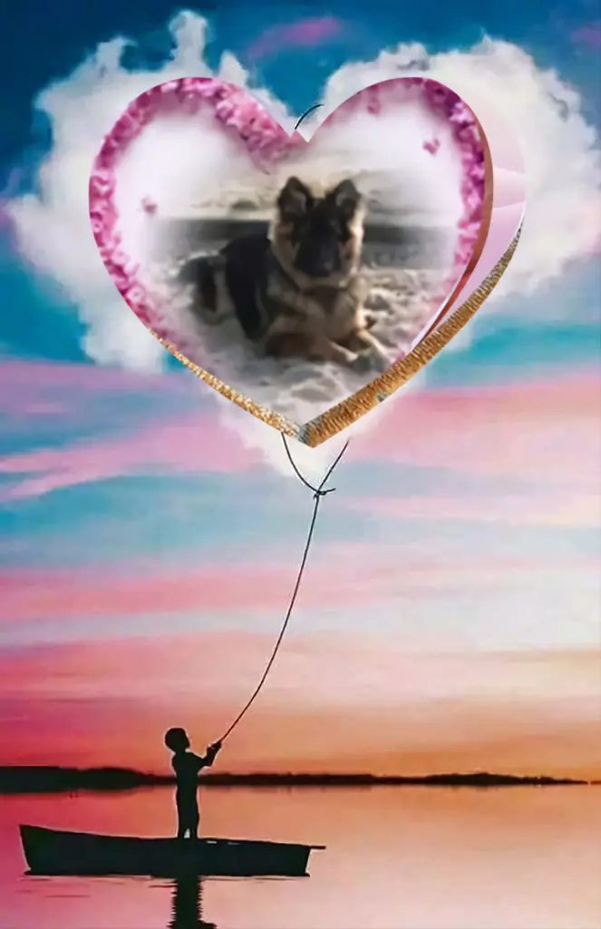 Condolence image of Dla Kochanego❤️❤️❤️❤️❤️Misieńka❤️⭐️