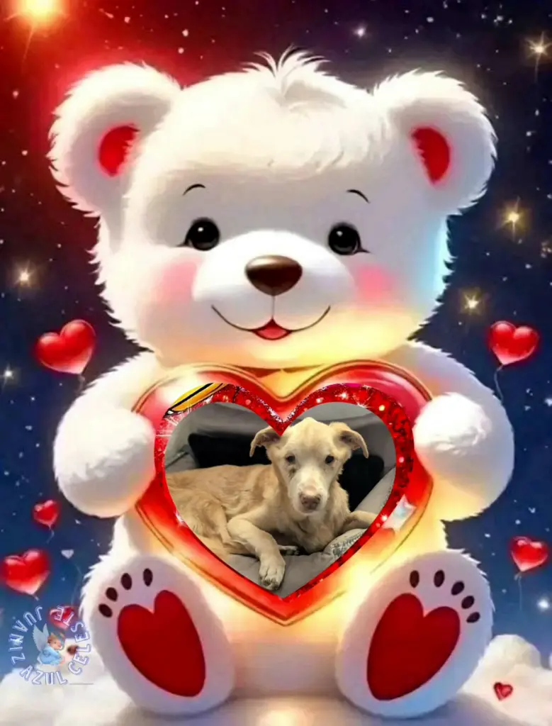 Condolence image of Dobrej Nocki❤️❤️❤️Kochany❤️❤️❤️Nynusiu❤️🐕⭐️🫶🫶🫶💋💋💋