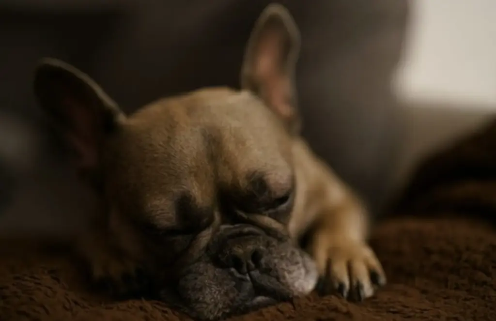 Bild von Pearl