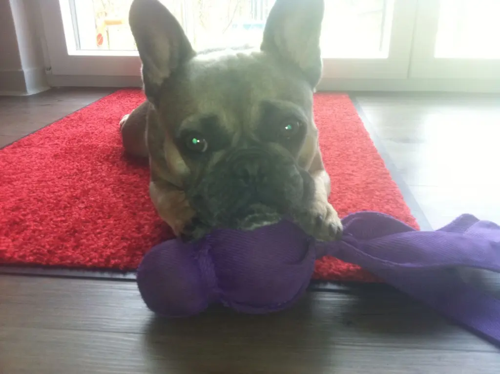 Bild von Pearl