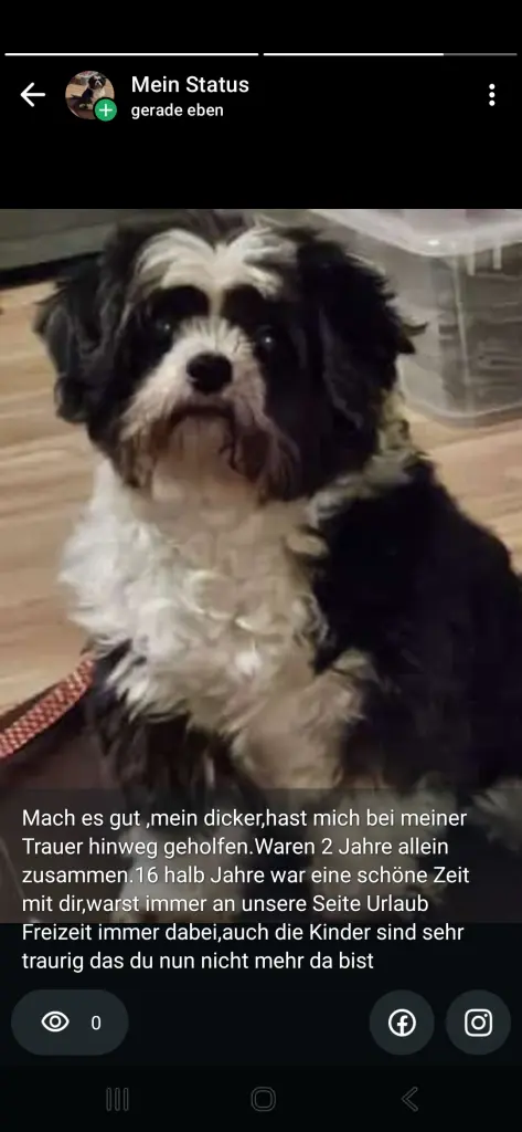 Bild von Barney
