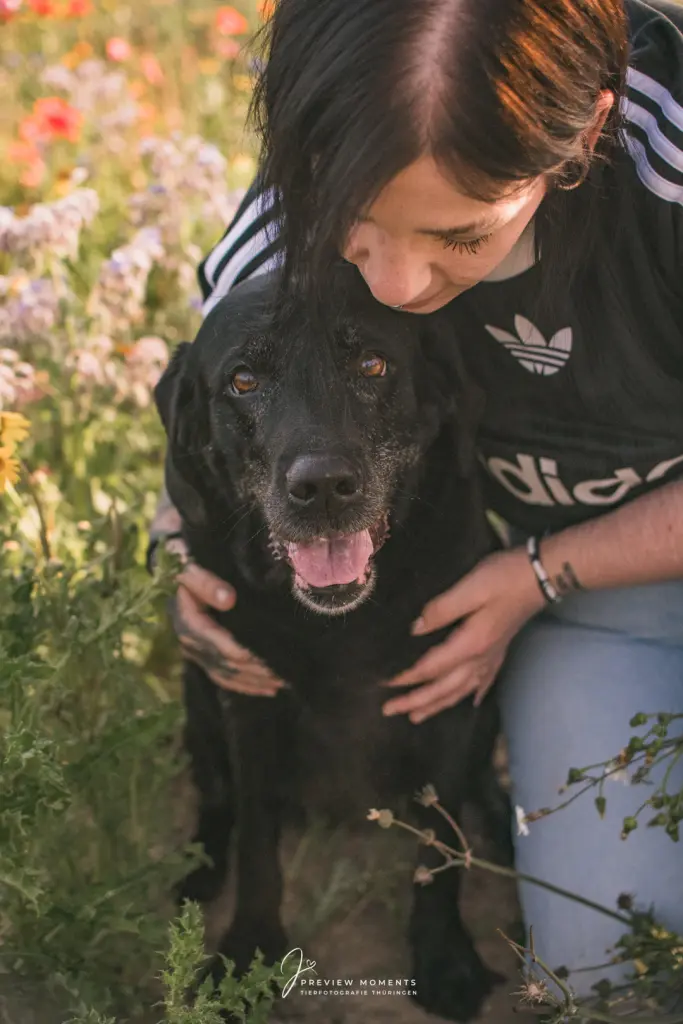 Bild von Bella