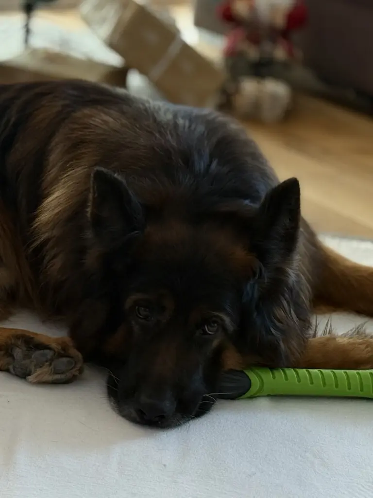 Bild von Hercules