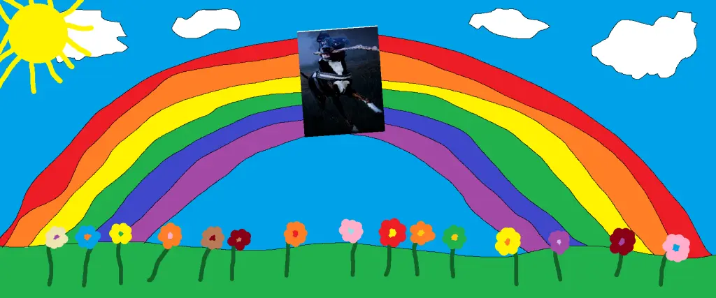 Condolence image of Manuel
