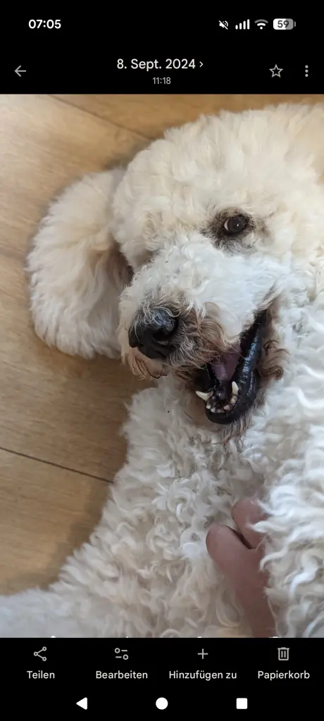Bild von Miss Sophie