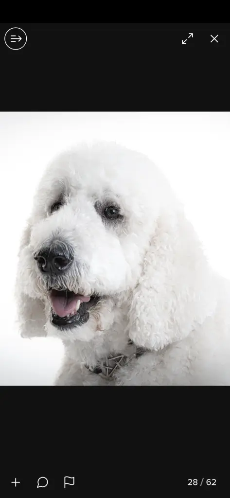 Meine Hübsche