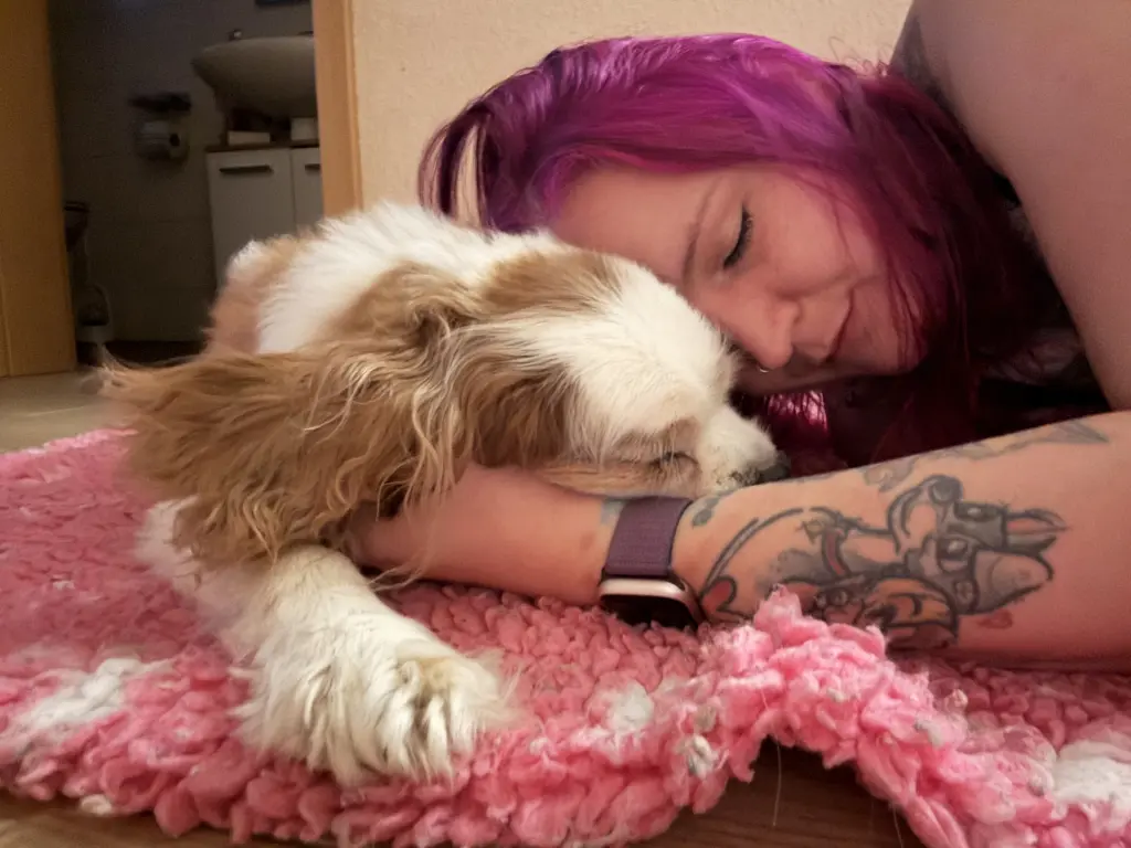 Bild von Linus