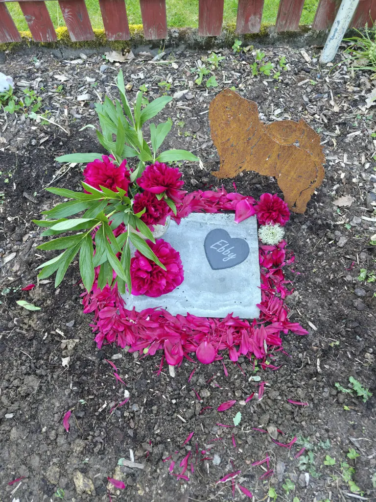 Condolence image of Anke Schenk-Hoffmann