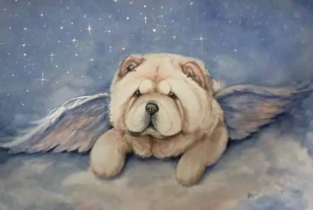Condolence image of Ivonne Bartzik