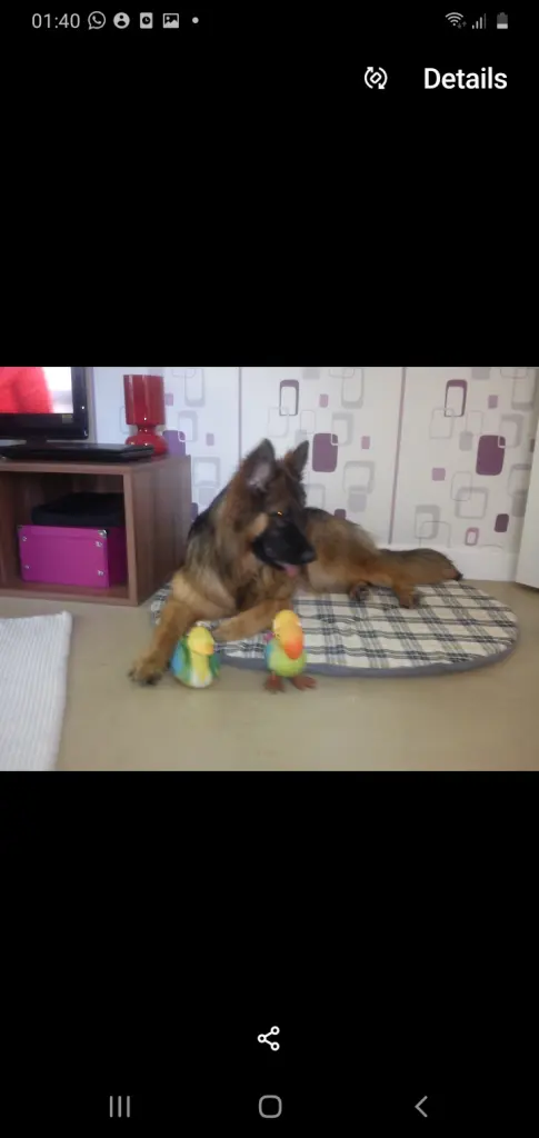 Bild von Emily