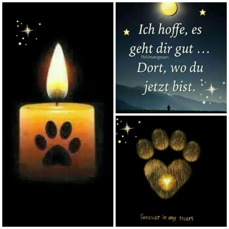 Condolence image of Snoopy und Pünktchen❤️❤️