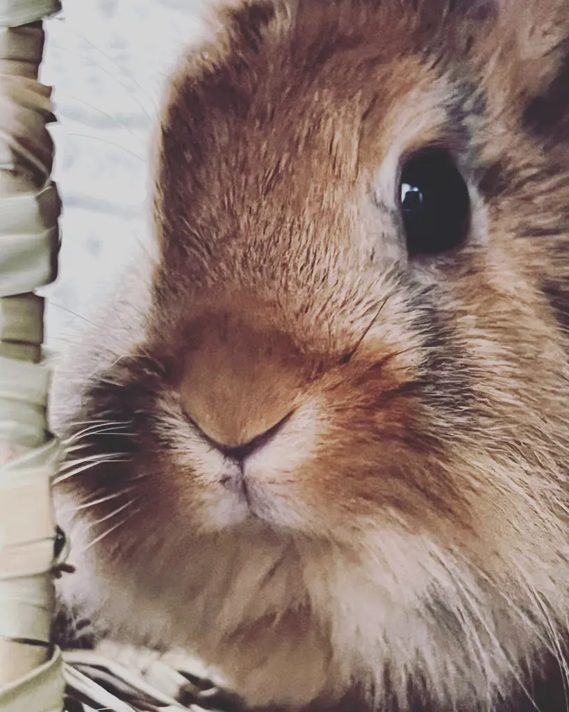 Dieser Blick ...