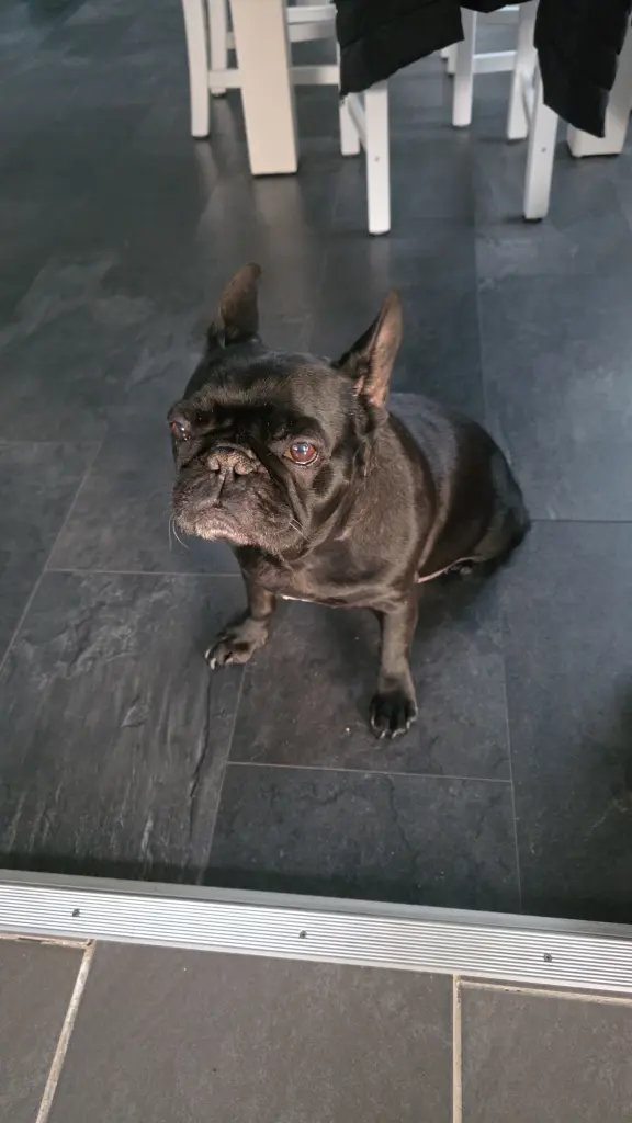 Bild von Louis