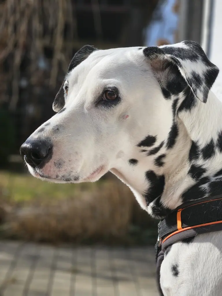 Mein ❤️