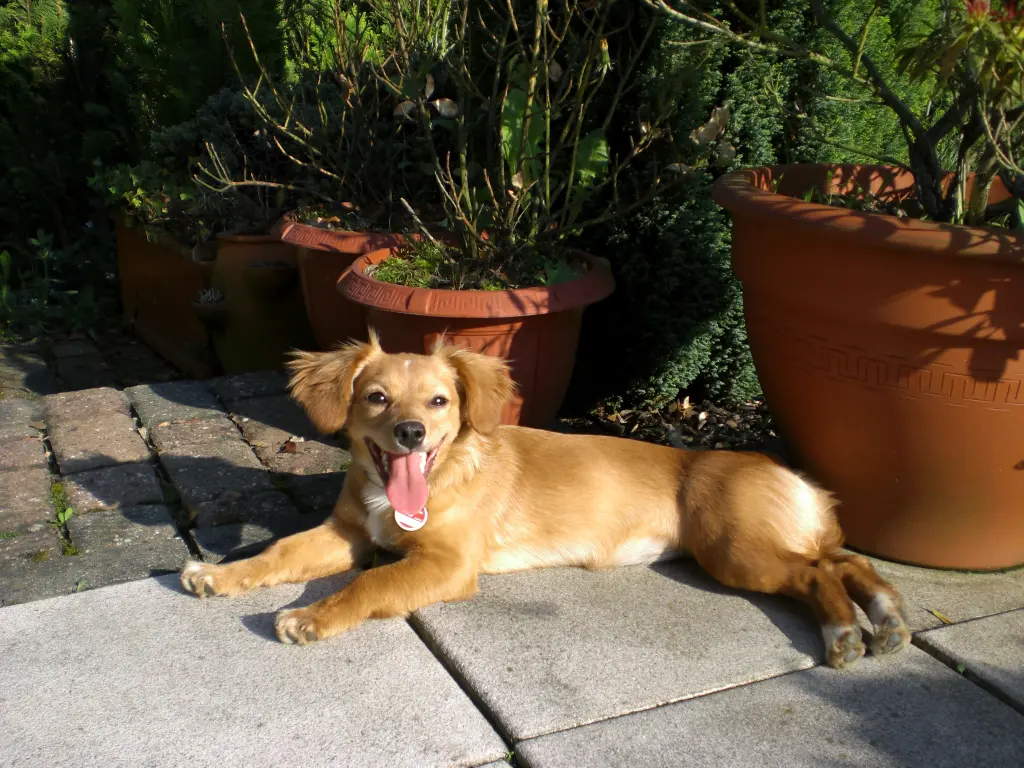 Bild von Deena