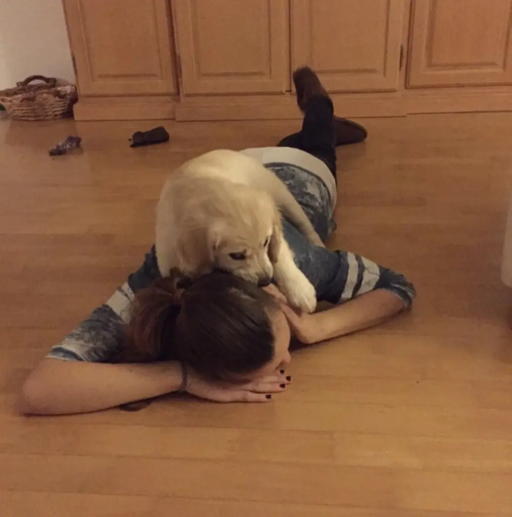 Condolence image of Franzi (Deine große Schwester)