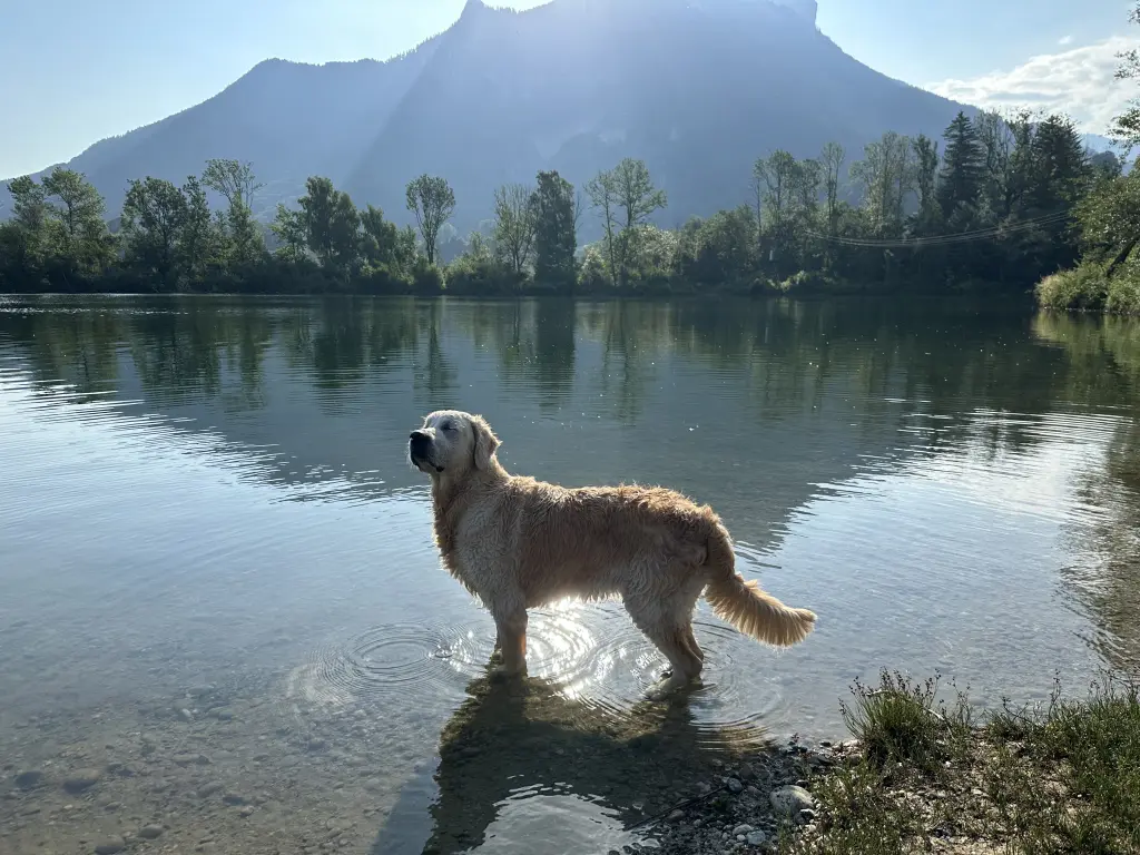 Image from Nelly
