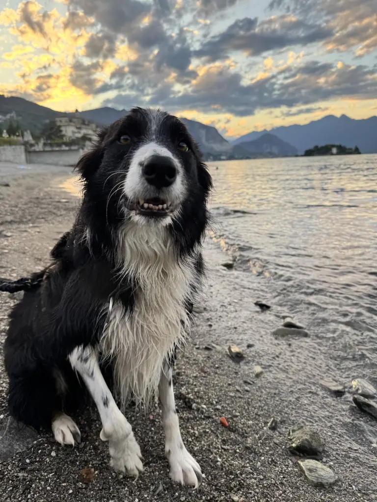 Bild von Benny