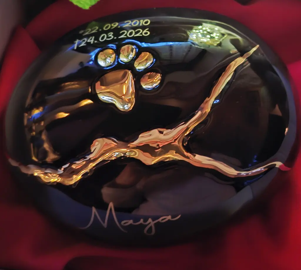 Image from Maya