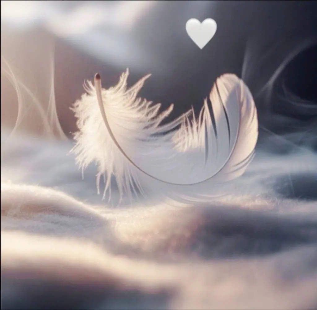 Condolence image of Janine ❤️ Sheela