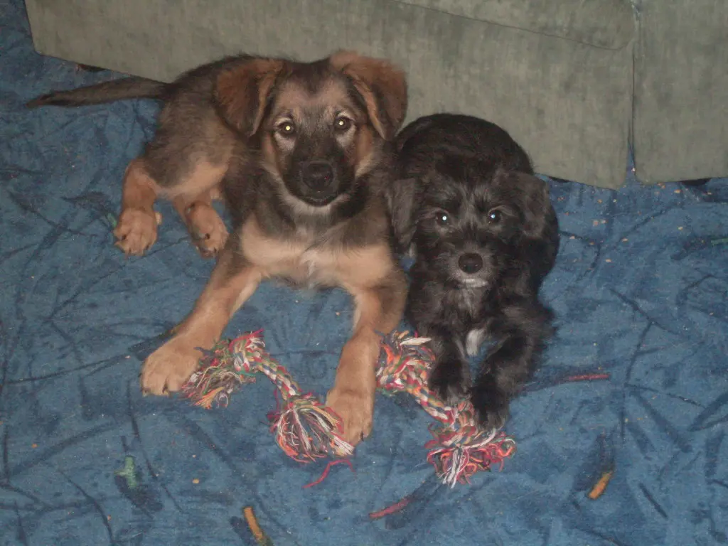 mit Schwester Lilly