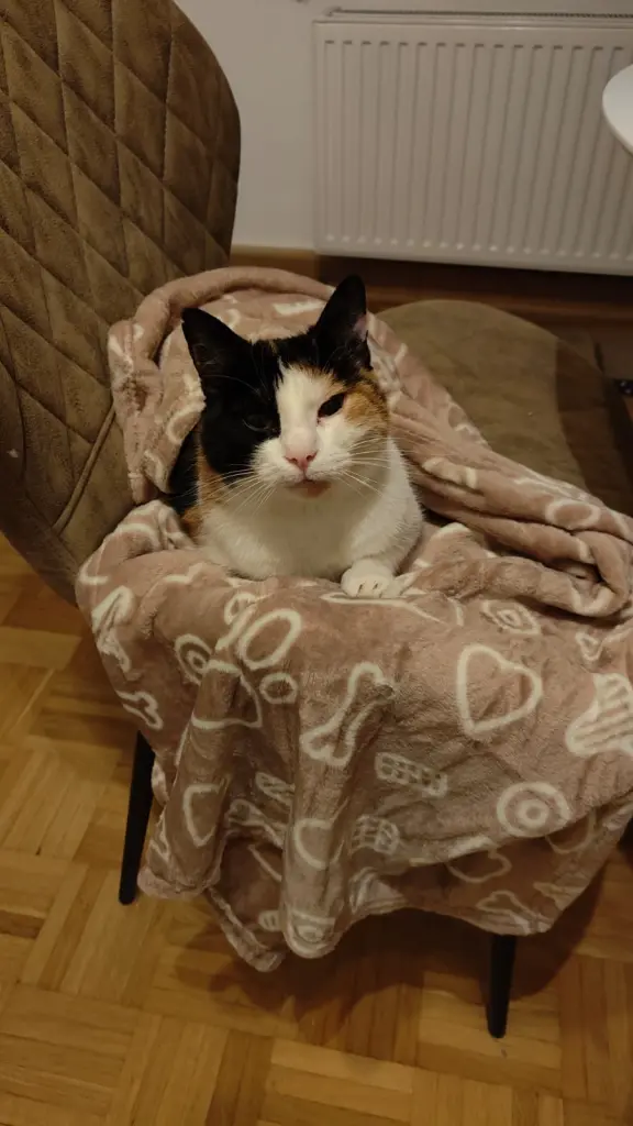 Ihr Nikolausgeschenk (Kuscheldecke) 2025