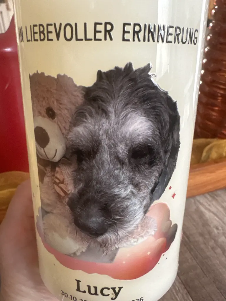 Bild von Lucy