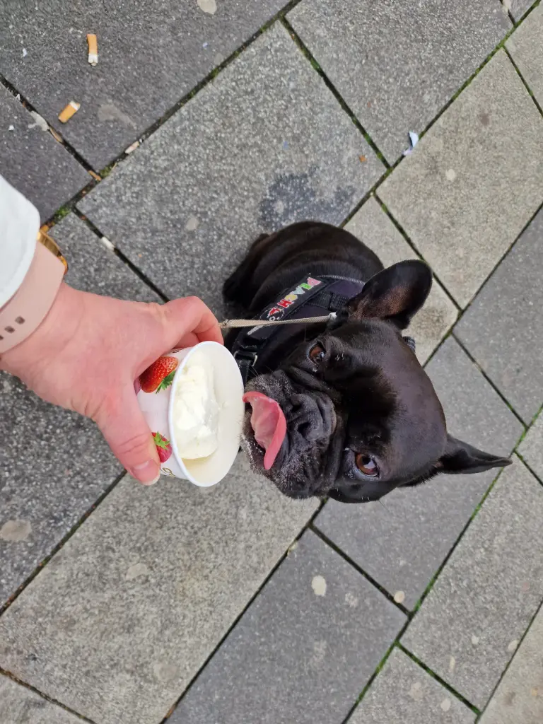 Bild von Peach