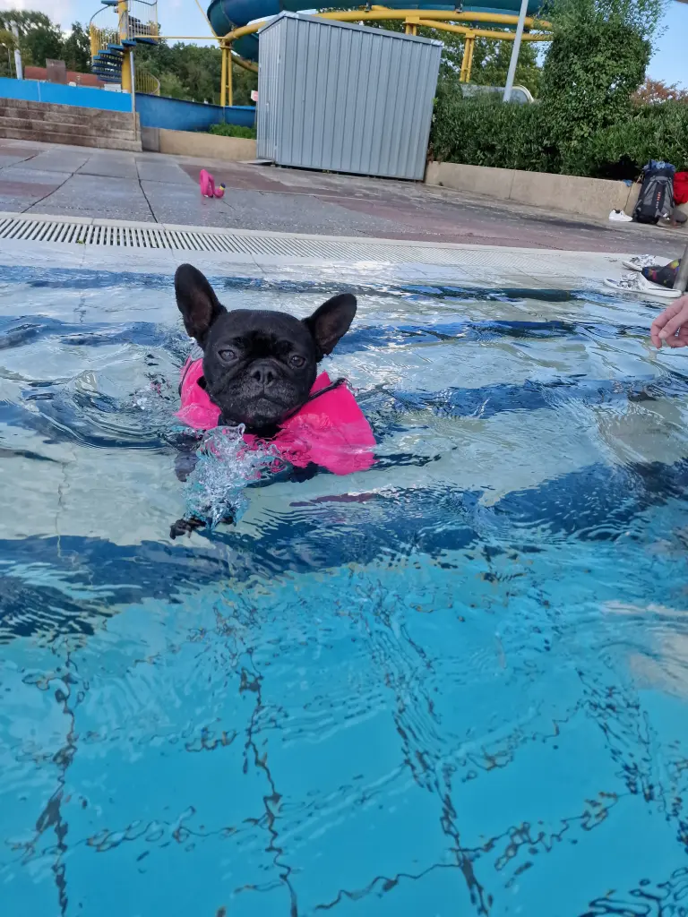 Bild von Peach
