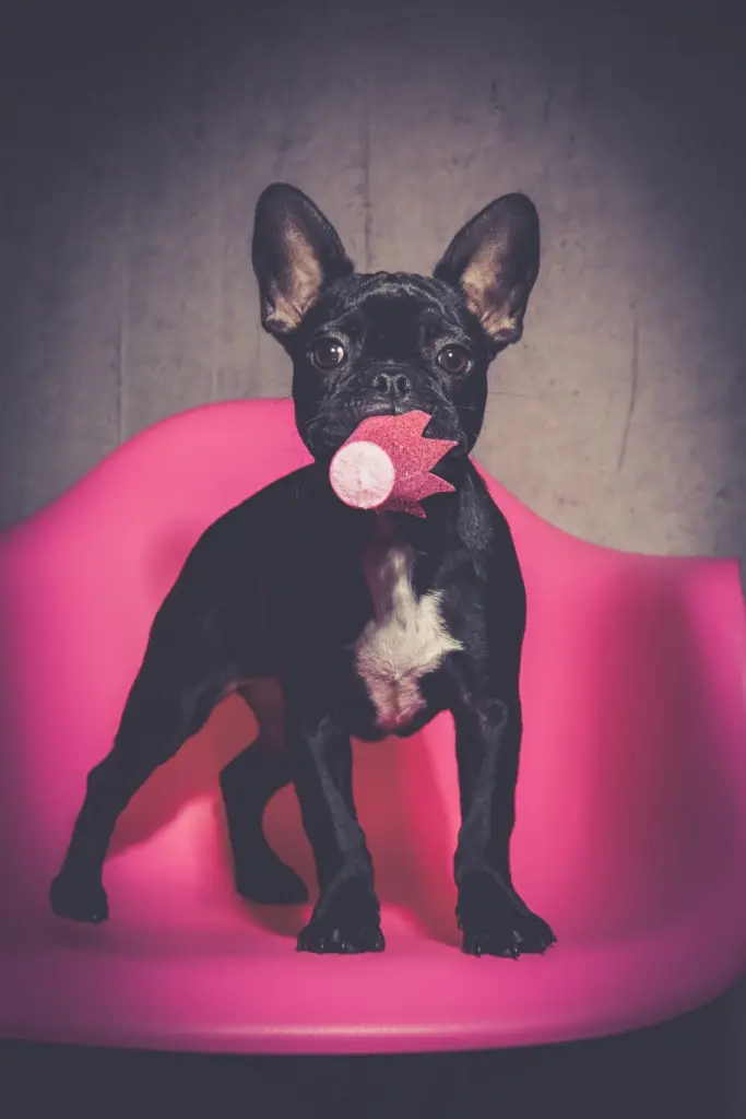 Bild von Peach
