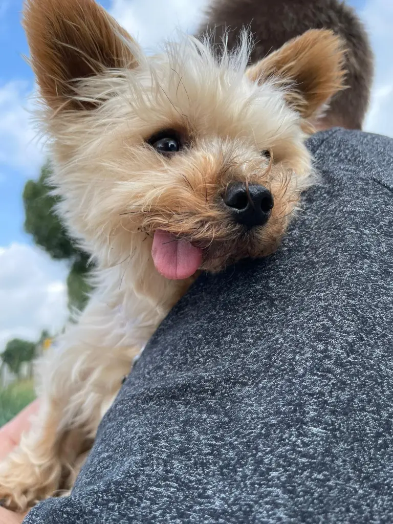 Bild von Miss Lilly