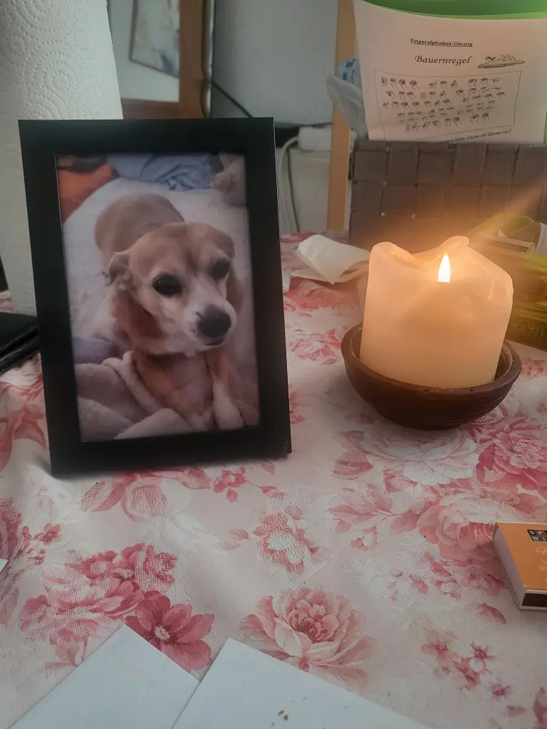 Bild von Nelly