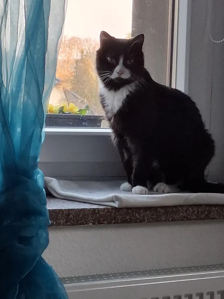Bild von Charly
