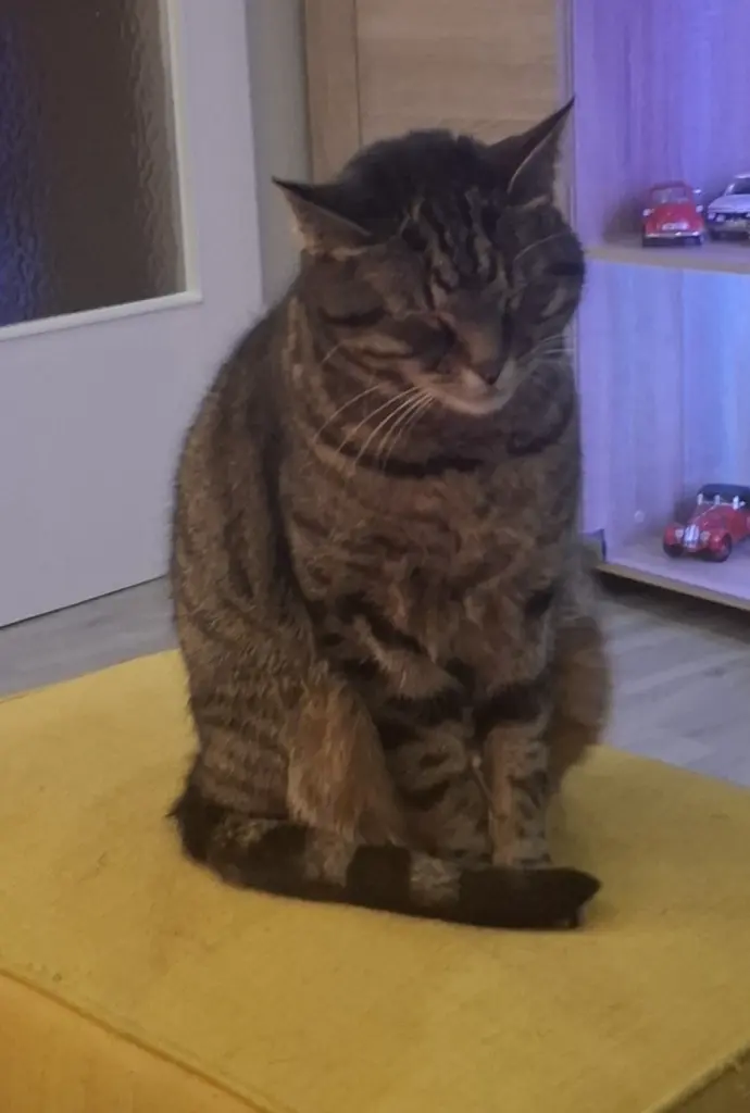 Andachtsbild von Nanni