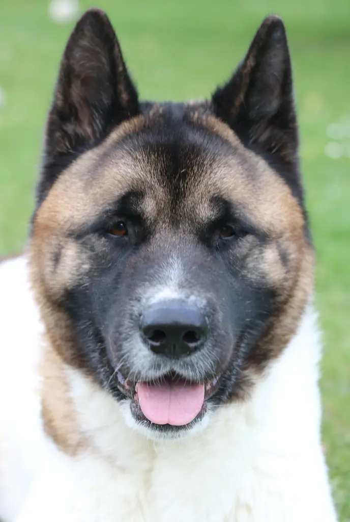 Bild von Teo