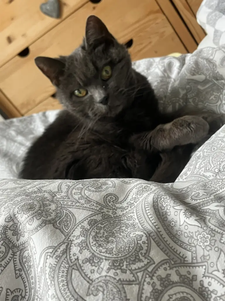 Bild von Nellie